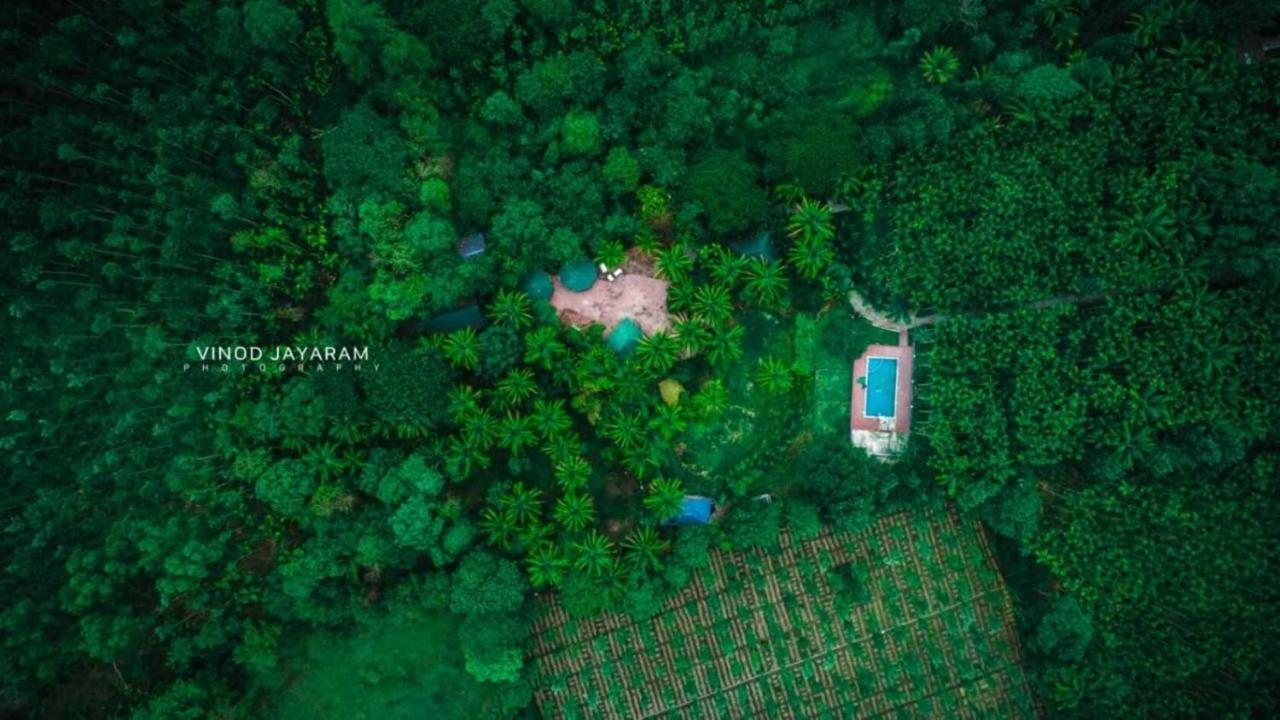 Staymaker Coorg Jungle Stay Resort Кушалнаґар Екстер'єр фото