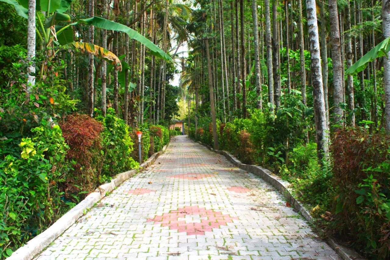 Staymaker Coorg Jungle Stay Resort Кушалнаґар Екстер'єр фото